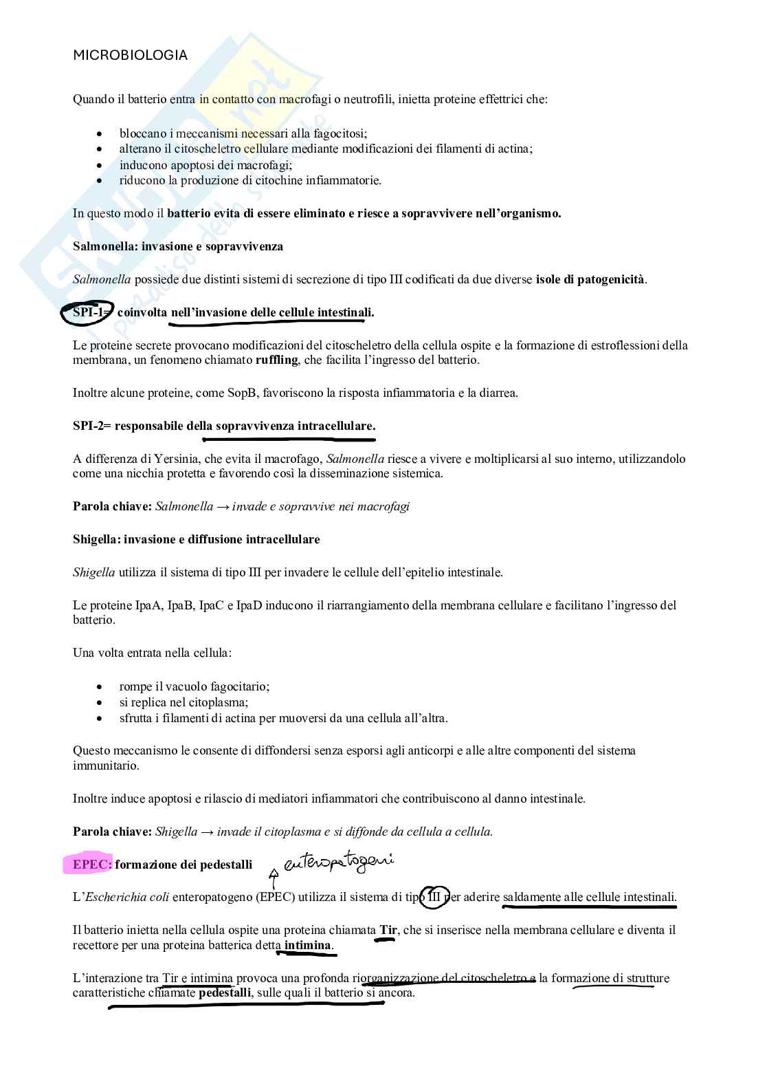 Microbiologia  Pag. 41