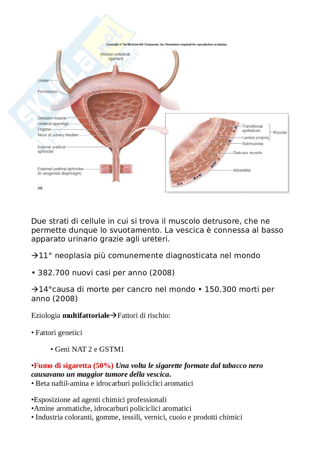 Appunti Chirurgia generale sui tumori alla vescica  Pag. 1
