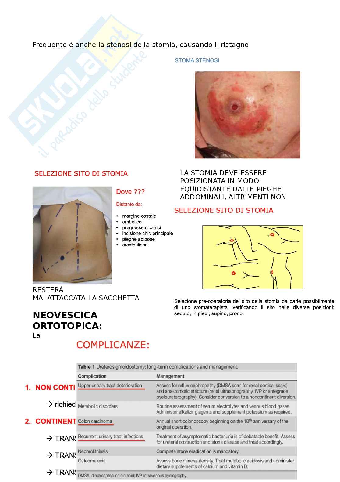 Appunti Chirurgia generale sui tumori alla vescica  Pag. 11