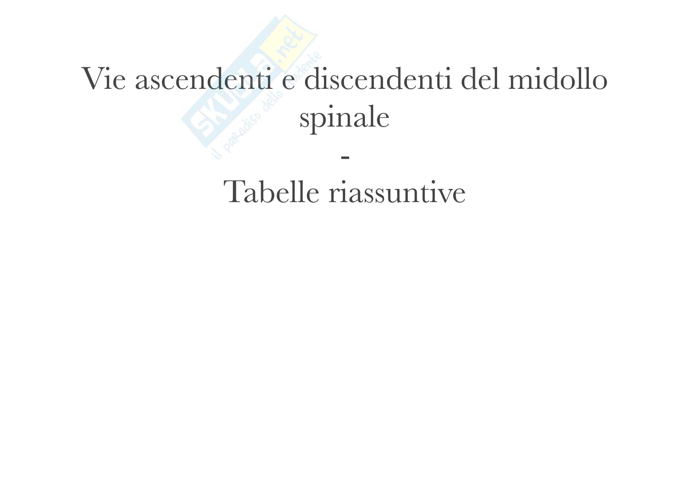 Vie ascendenti e discendenti del midollo spinale Pag. 1