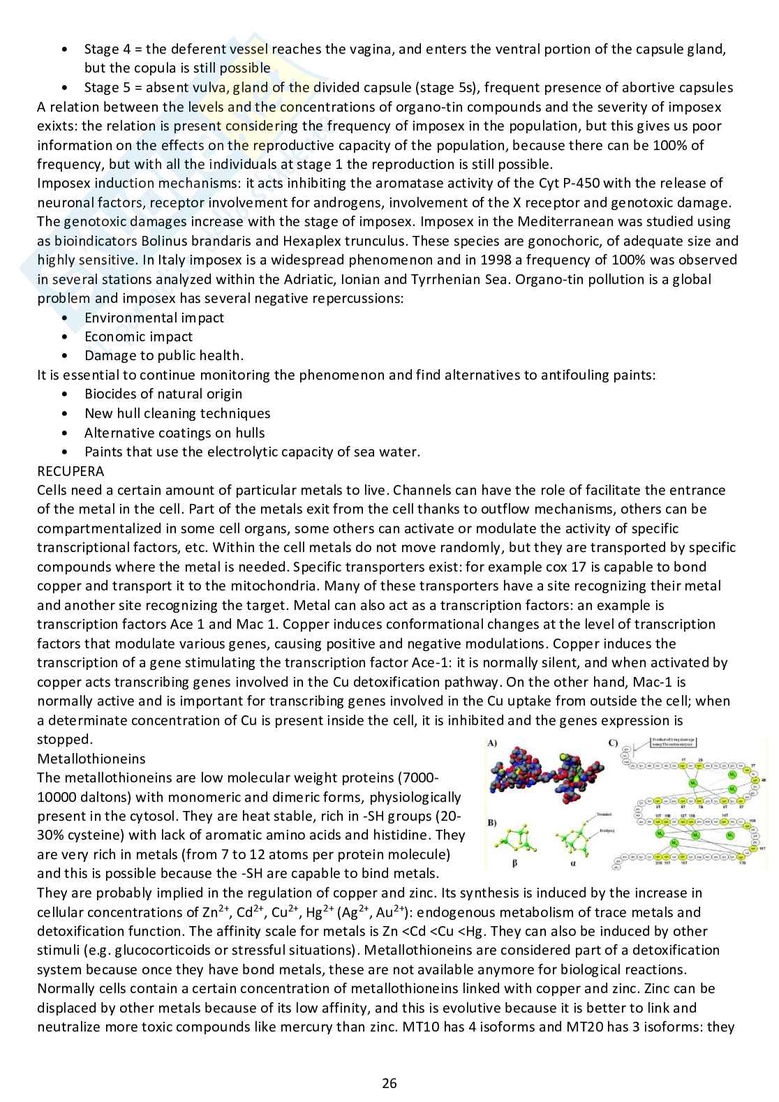 Appunti completi di Marine Ecotoxicology Pag. 26