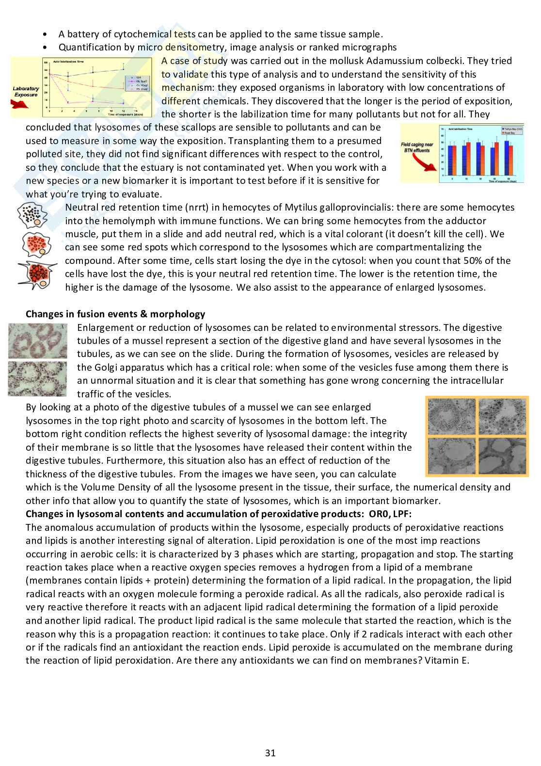 Appunti completi di Marine Ecotoxicology Pag. 31