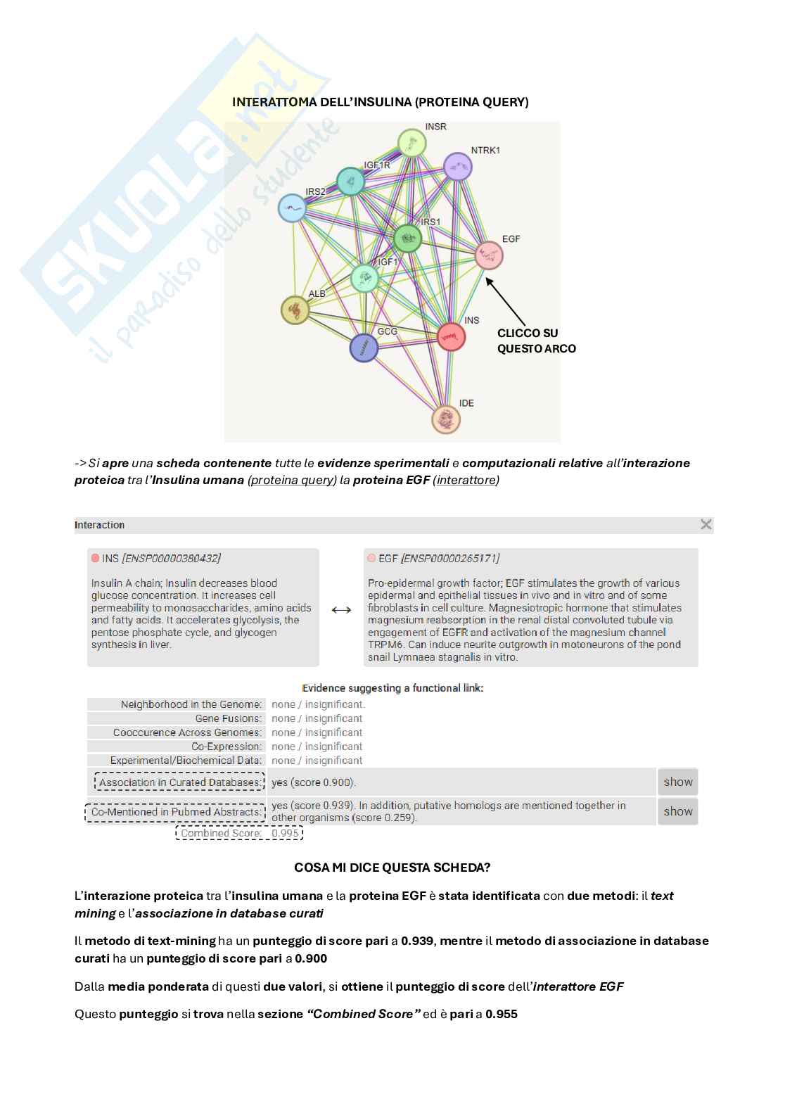 Bioinformatica Pag. 31