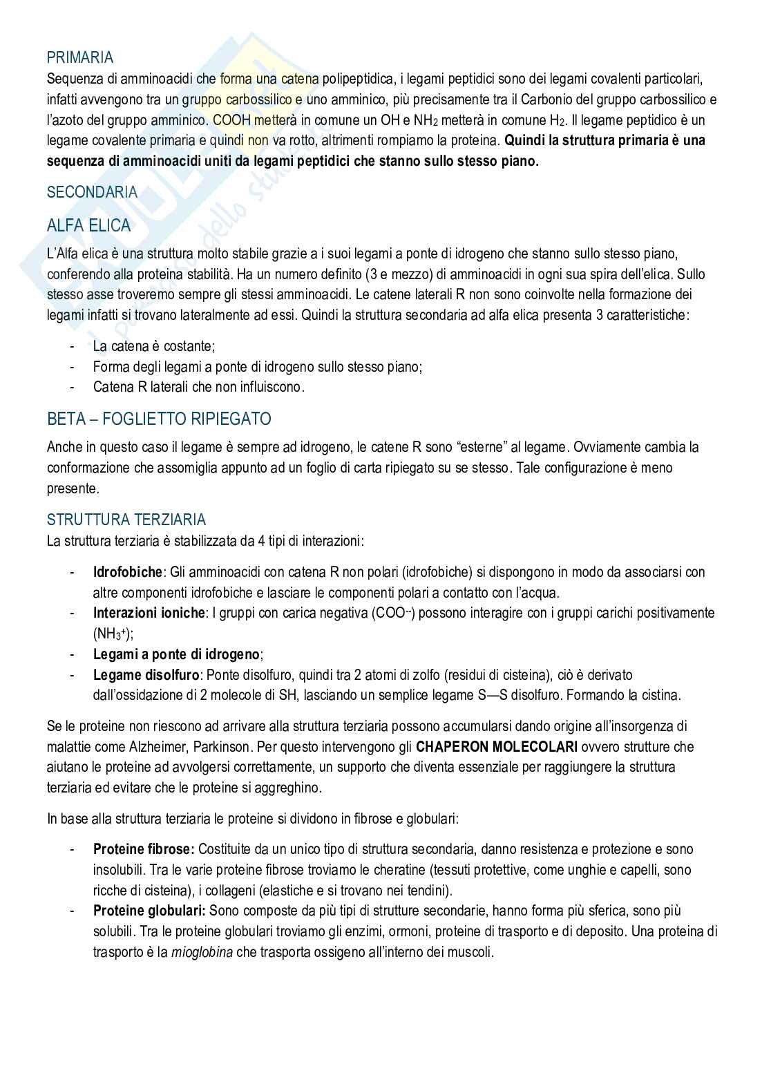 Biochimica - Cenni di chimica e metabolismi Pag. 11