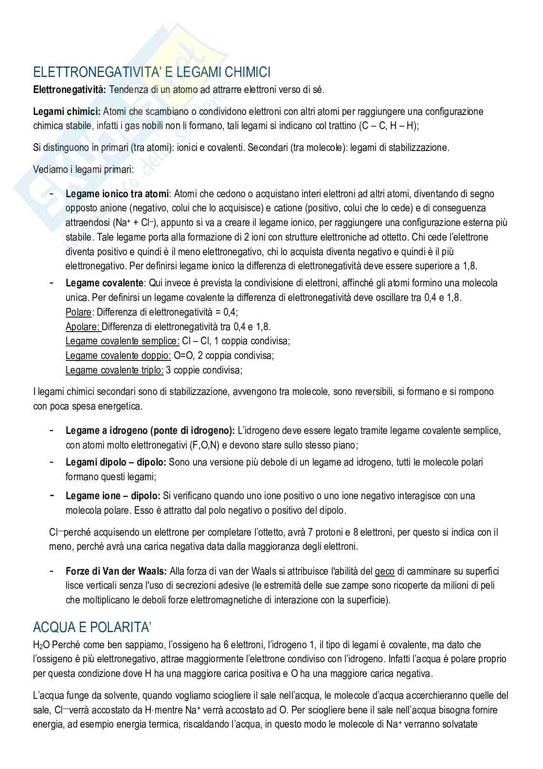 Biochimica - Cenni di chimica e metabolismi Pag. 2