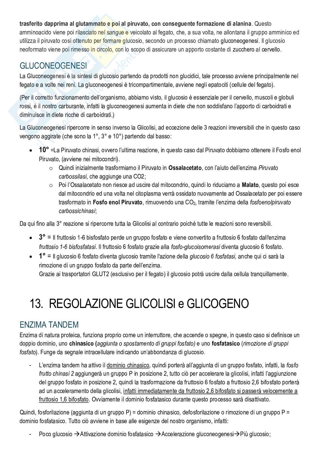 Biochimica - Cenni di chimica e metabolismi Pag. 21