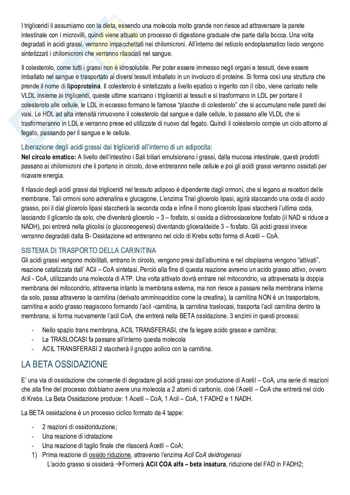 Biochimica - Cenni di chimica e metabolismi Pag. 26