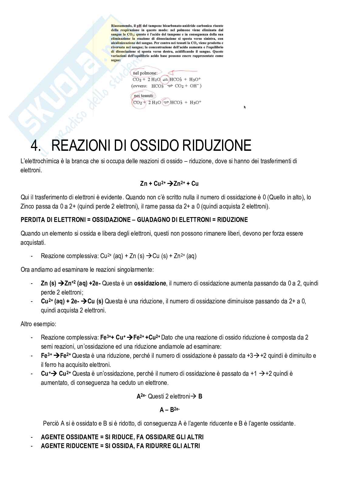 Biochimica - Cenni di chimica e metabolismi Pag. 6