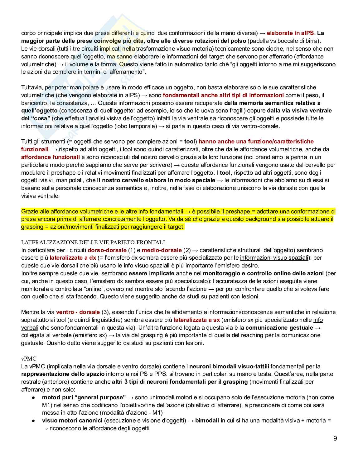 Neuropsicologia Pag. 36