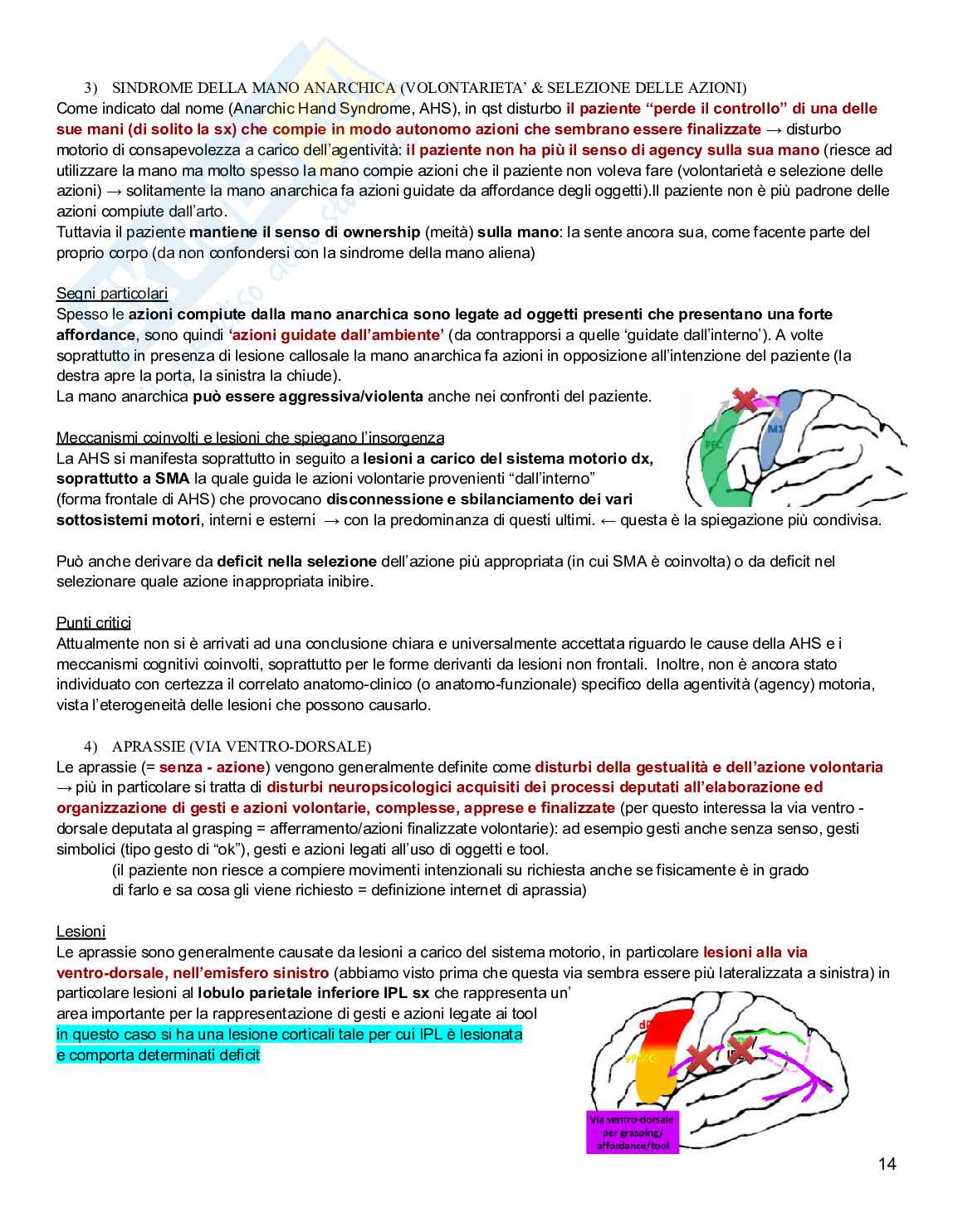 Neuropsicologia Pag. 41