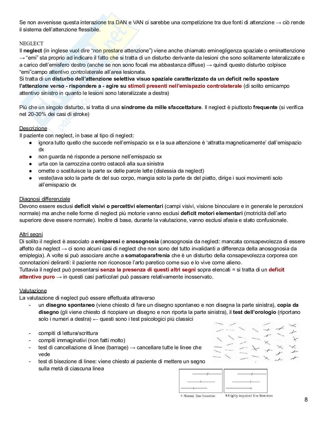 Neuropsicologia Pag. 51