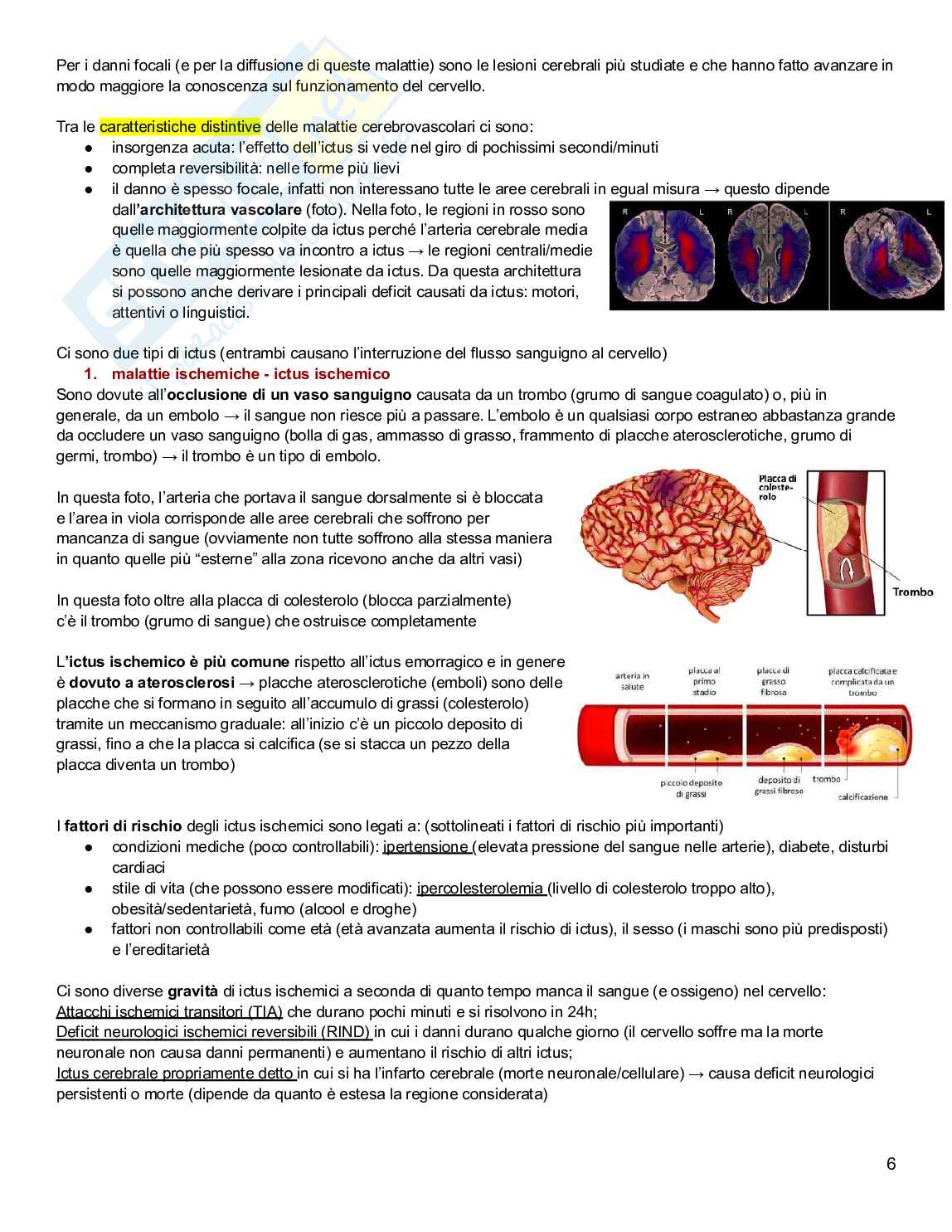 Neuropsicologia Pag. 6