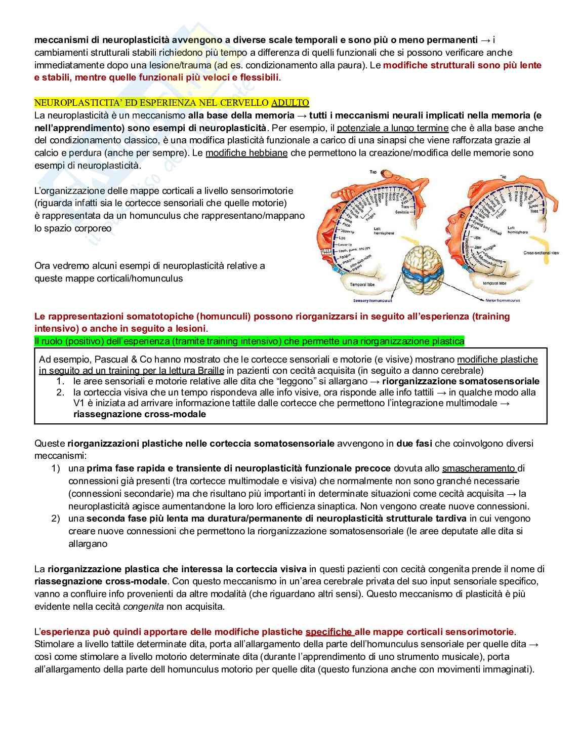 Neuropsicologia Pag. 86