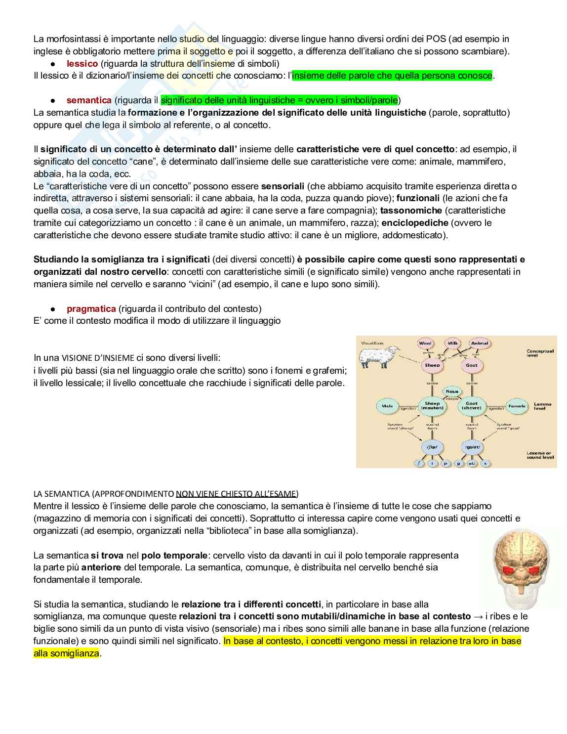 Neuropsicologia Pag. 91