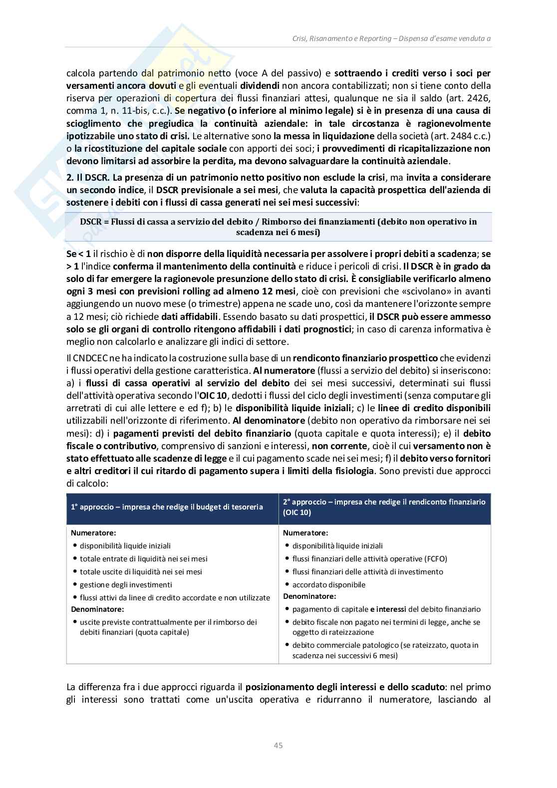 Appunti Crisi, risanamento e reporting (A.A. 2025/2026) Pag. 46