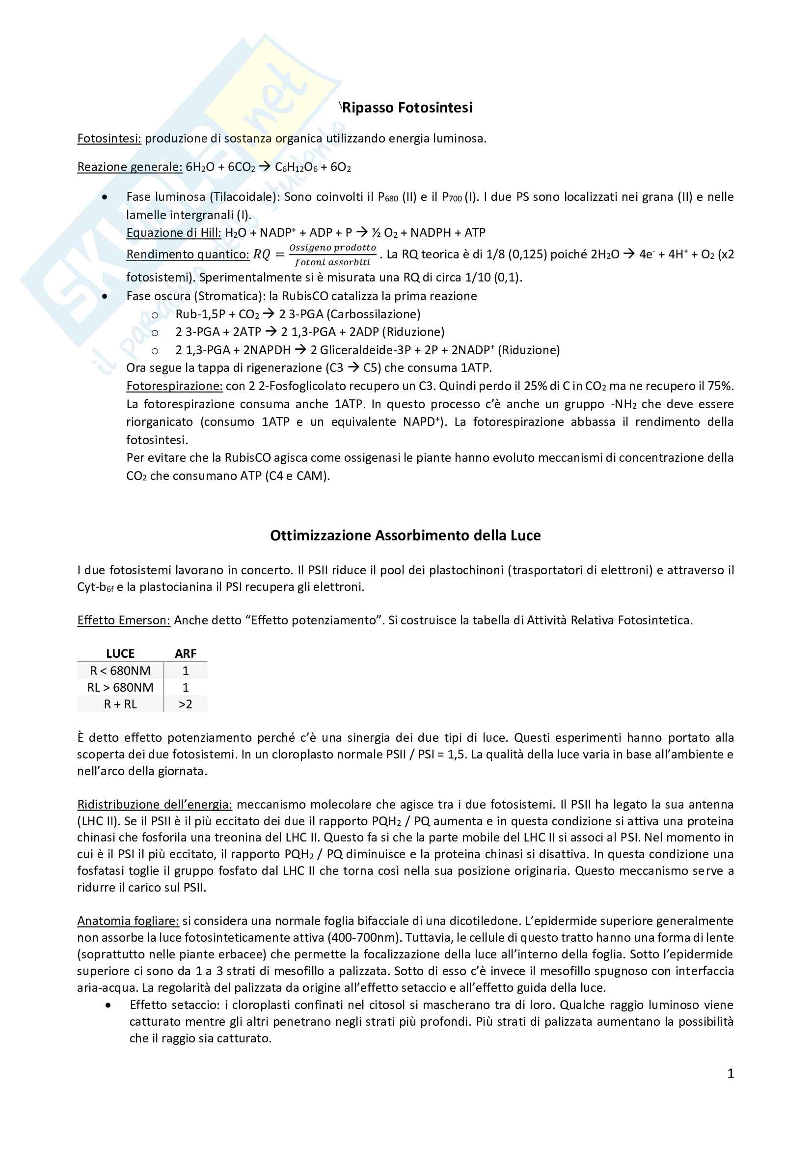 Ecofisiologia vegetale, prof. Cerana Pag. 1