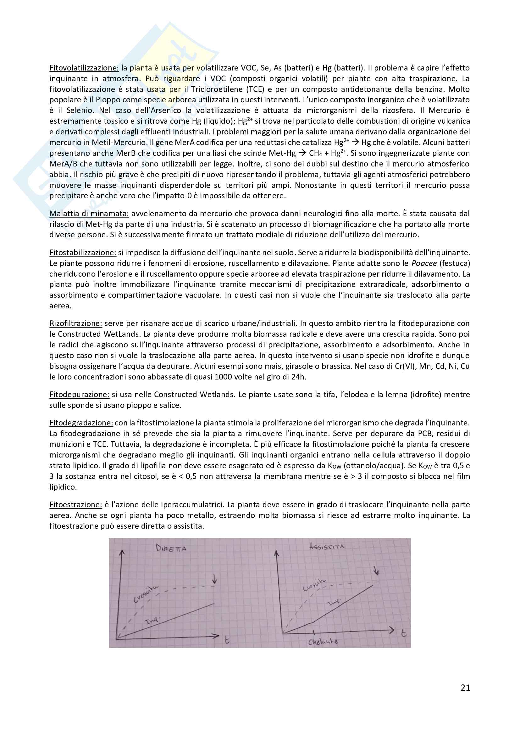 Ecofisiologia vegetale, prof. Cerana Pag. 21