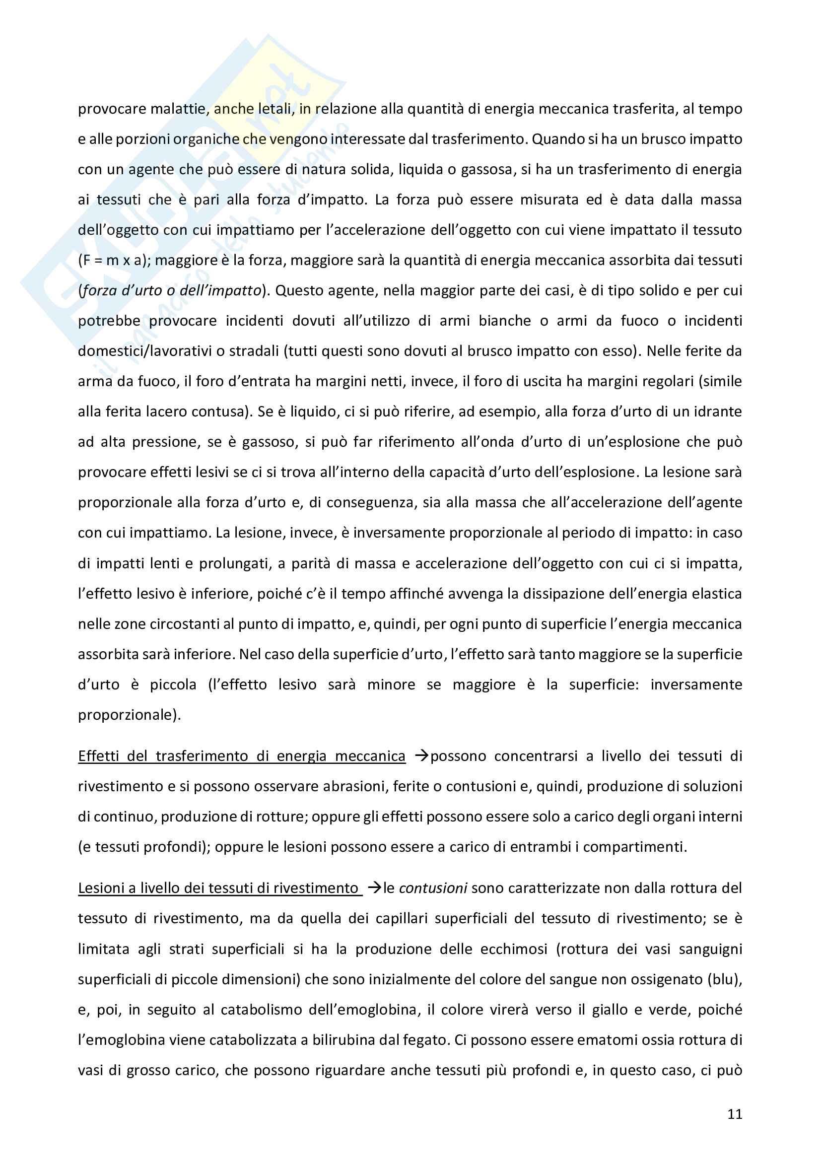 Appunti Patologia Generale Pag. 11