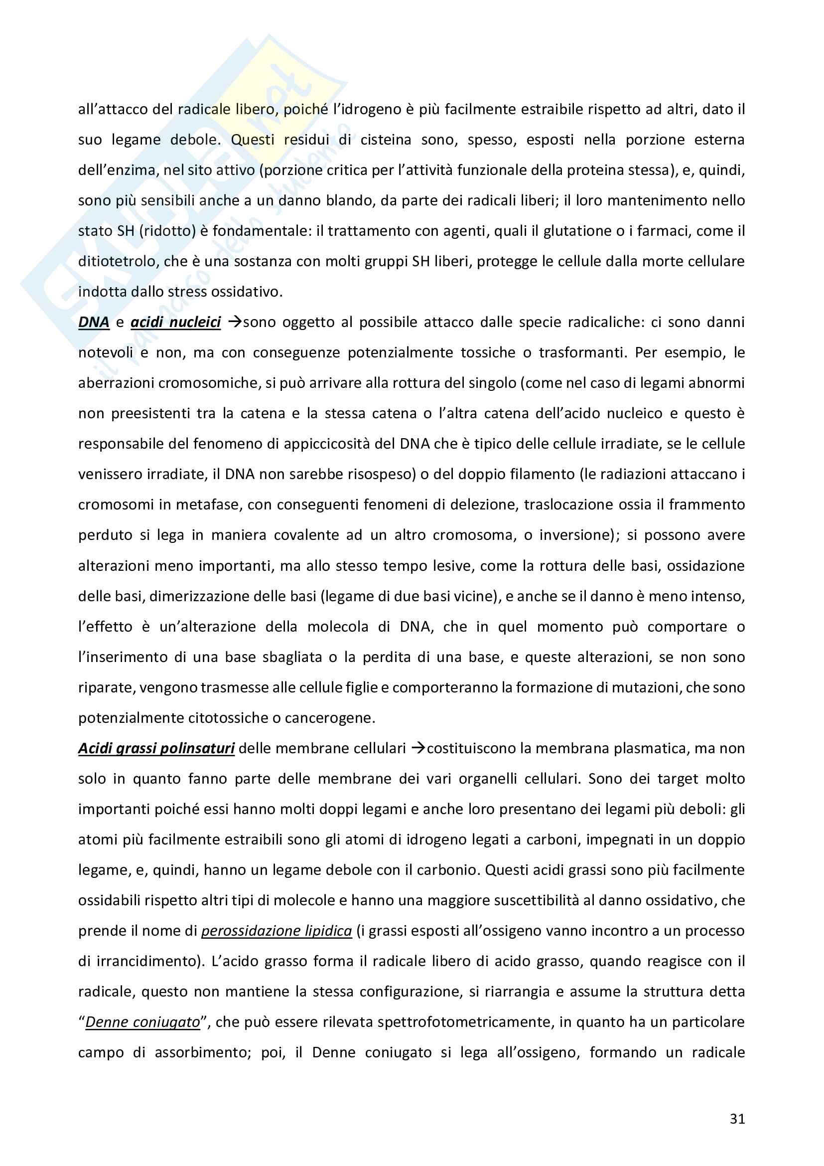 Appunti Patologia Generale Pag. 31