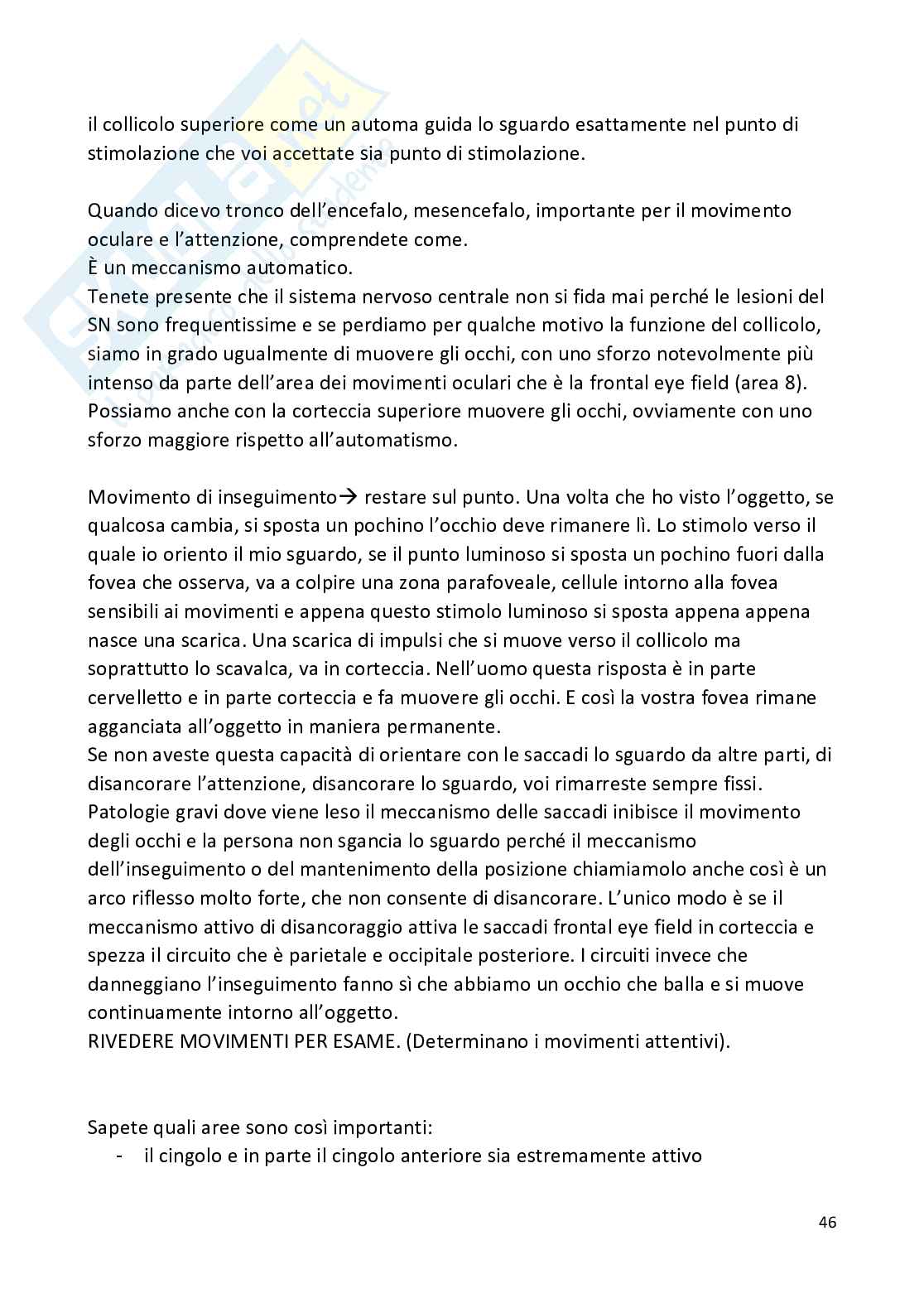 Psicobiologia - Appunti Pag. 46