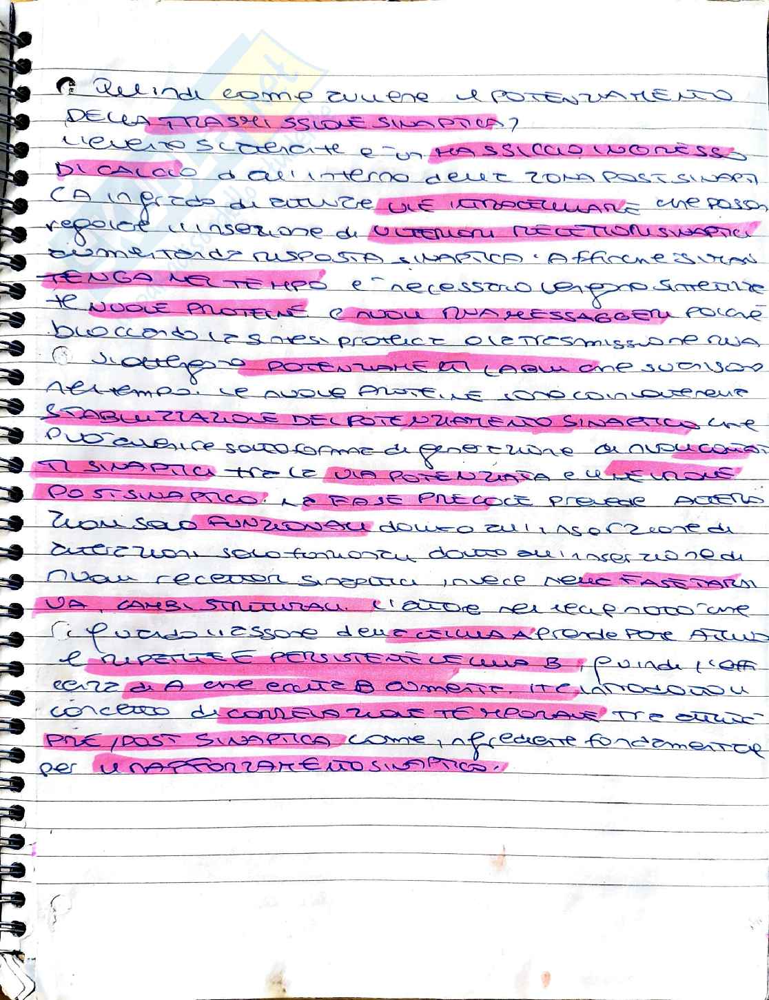 Psicobiologia: neuroanatomia funzionale, lobi cerebrali e casi clinici Pag. 1