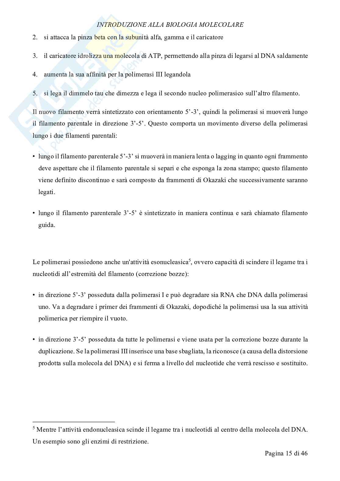 Biologia molecolare Pag. 16
