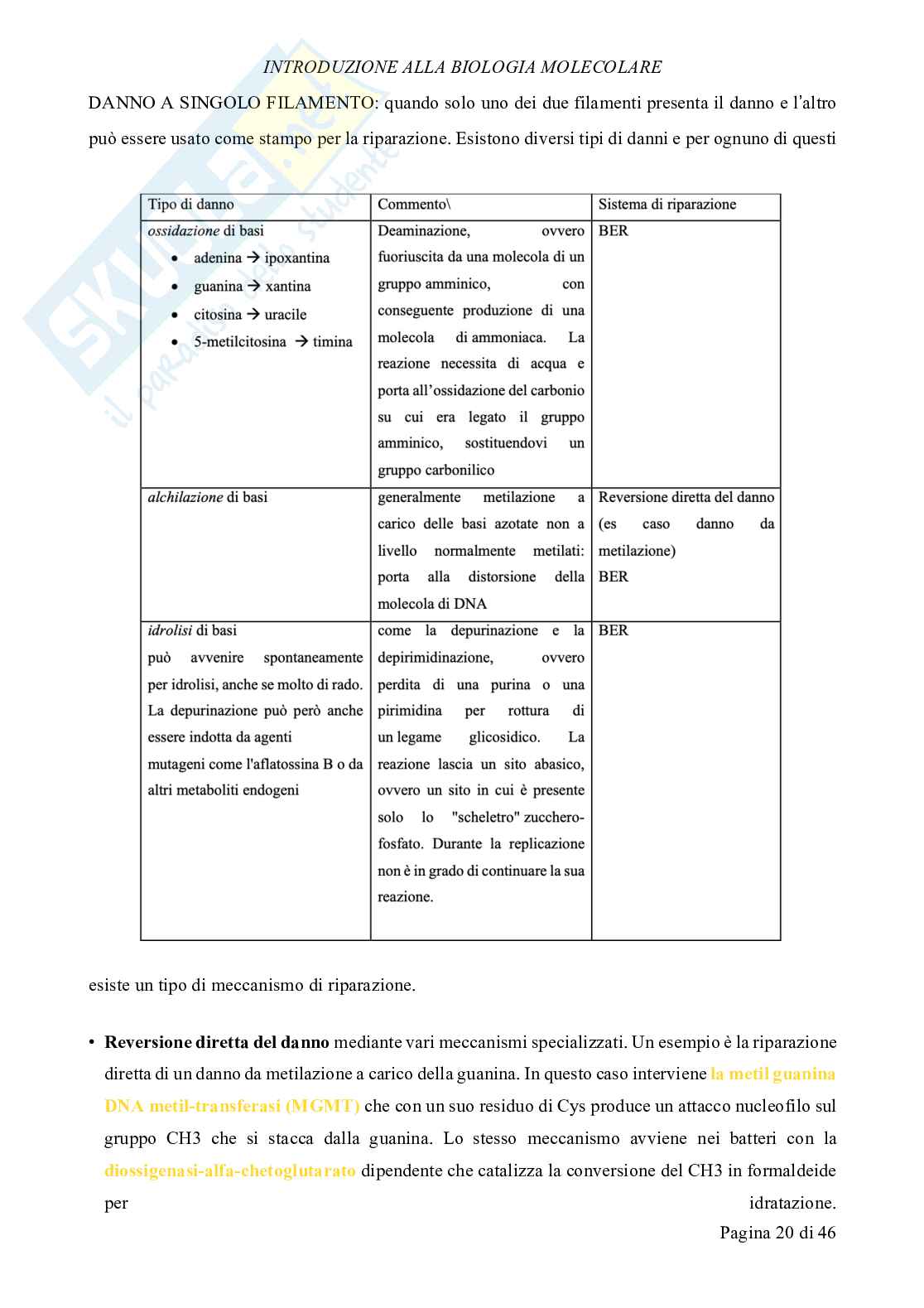 Biologia molecolare Pag. 21