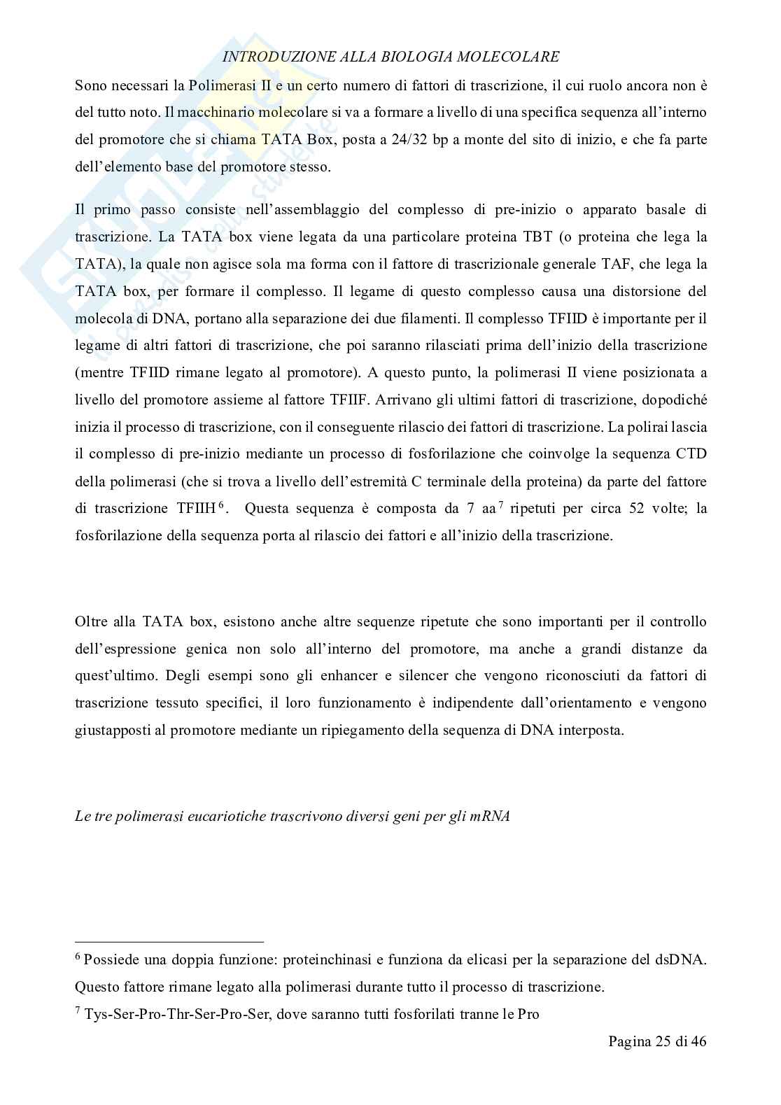 Biologia molecolare Pag. 26