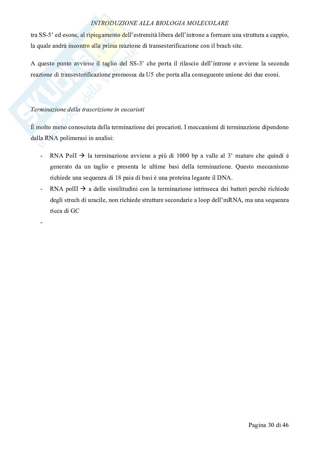 Biologia molecolare Pag. 31