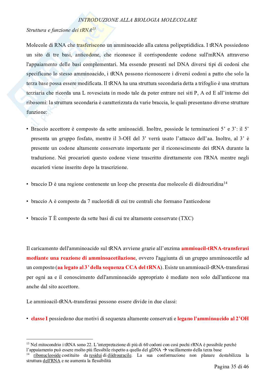 Biologia molecolare Pag. 36