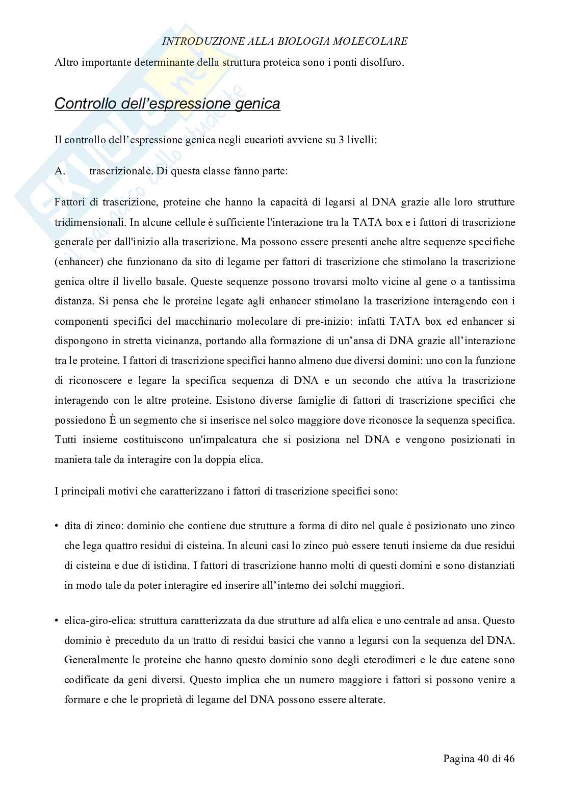 Biologia molecolare Pag. 41