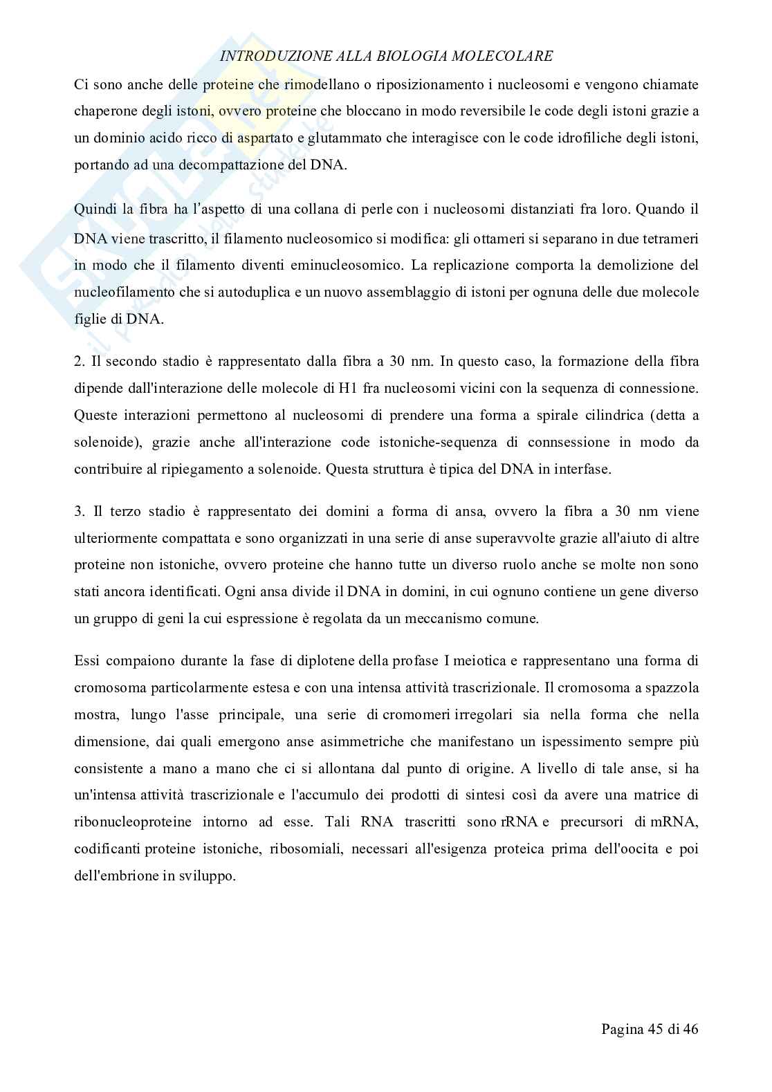 Biologia molecolare Pag. 46