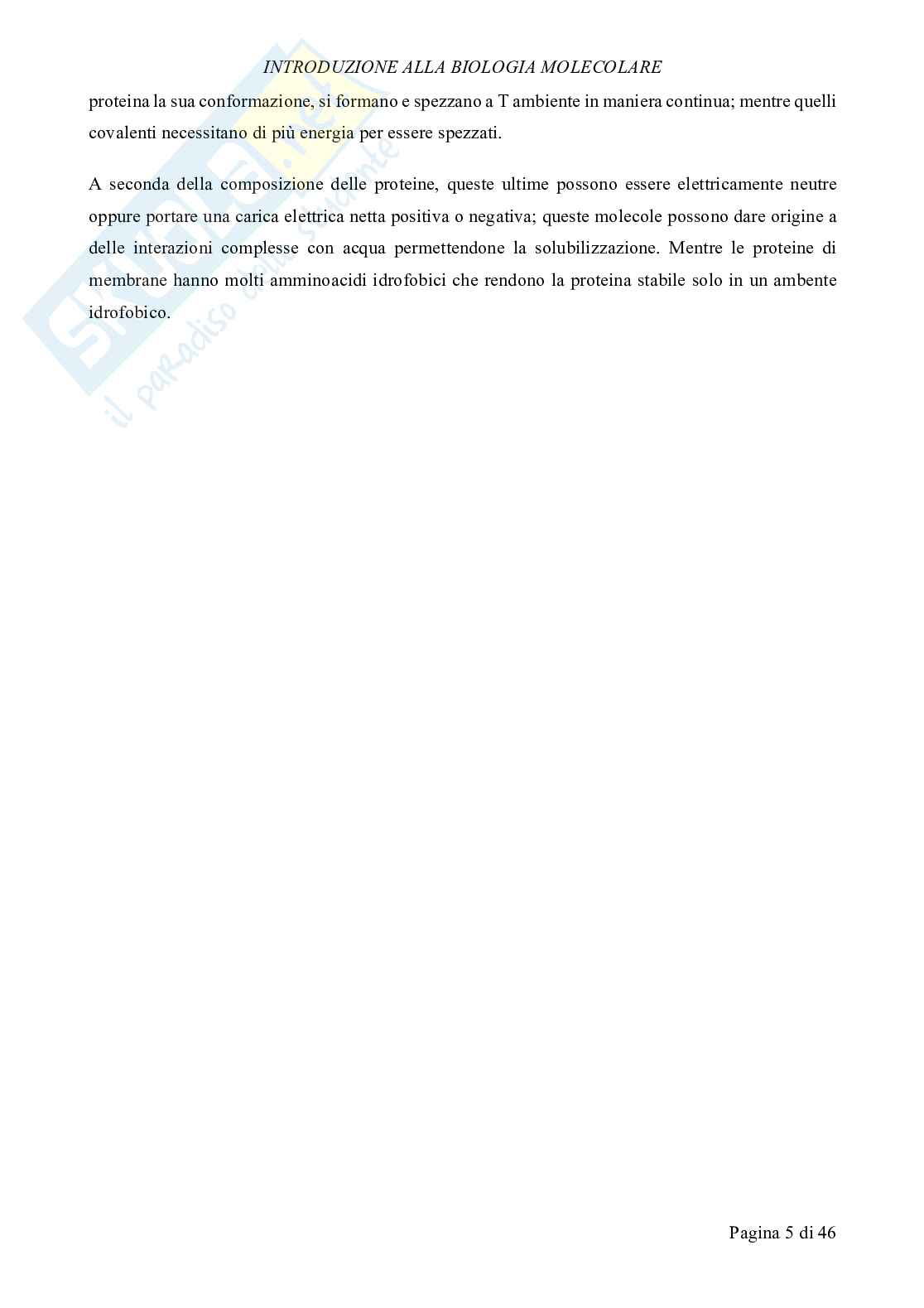 Biologia molecolare Pag. 6