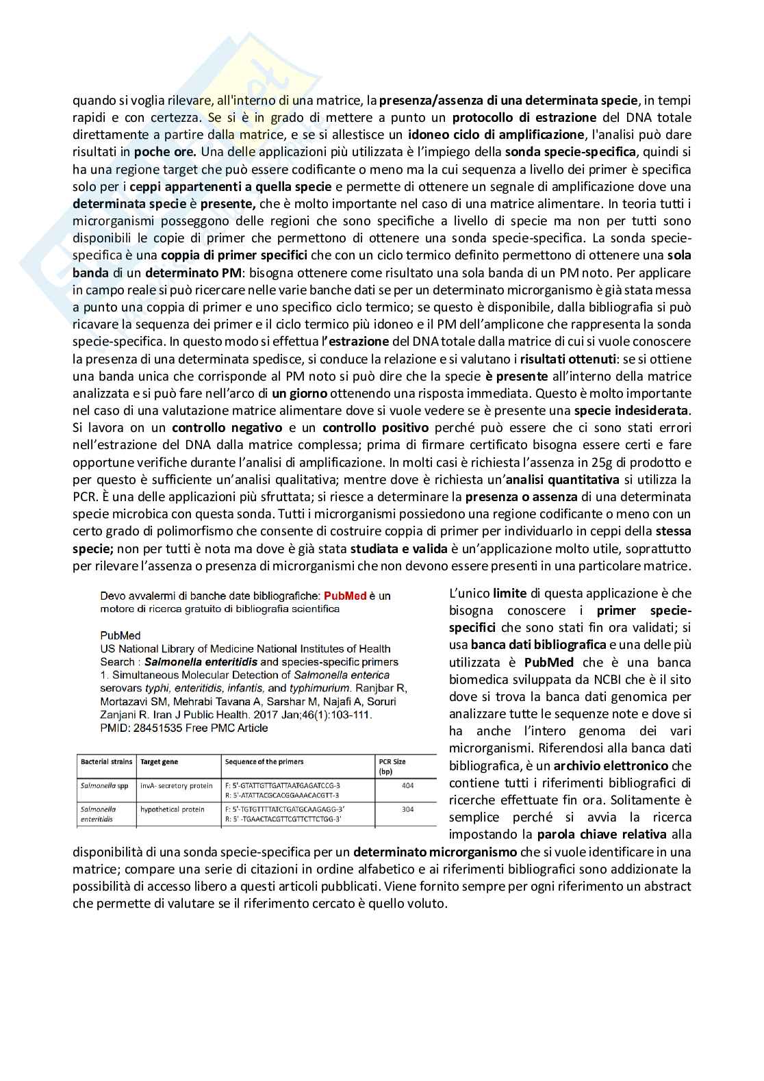Biotecnologie genetico molecolari Pag. 31