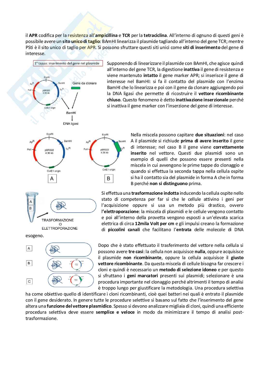 Biotecnologie genetico molecolari Pag. 56