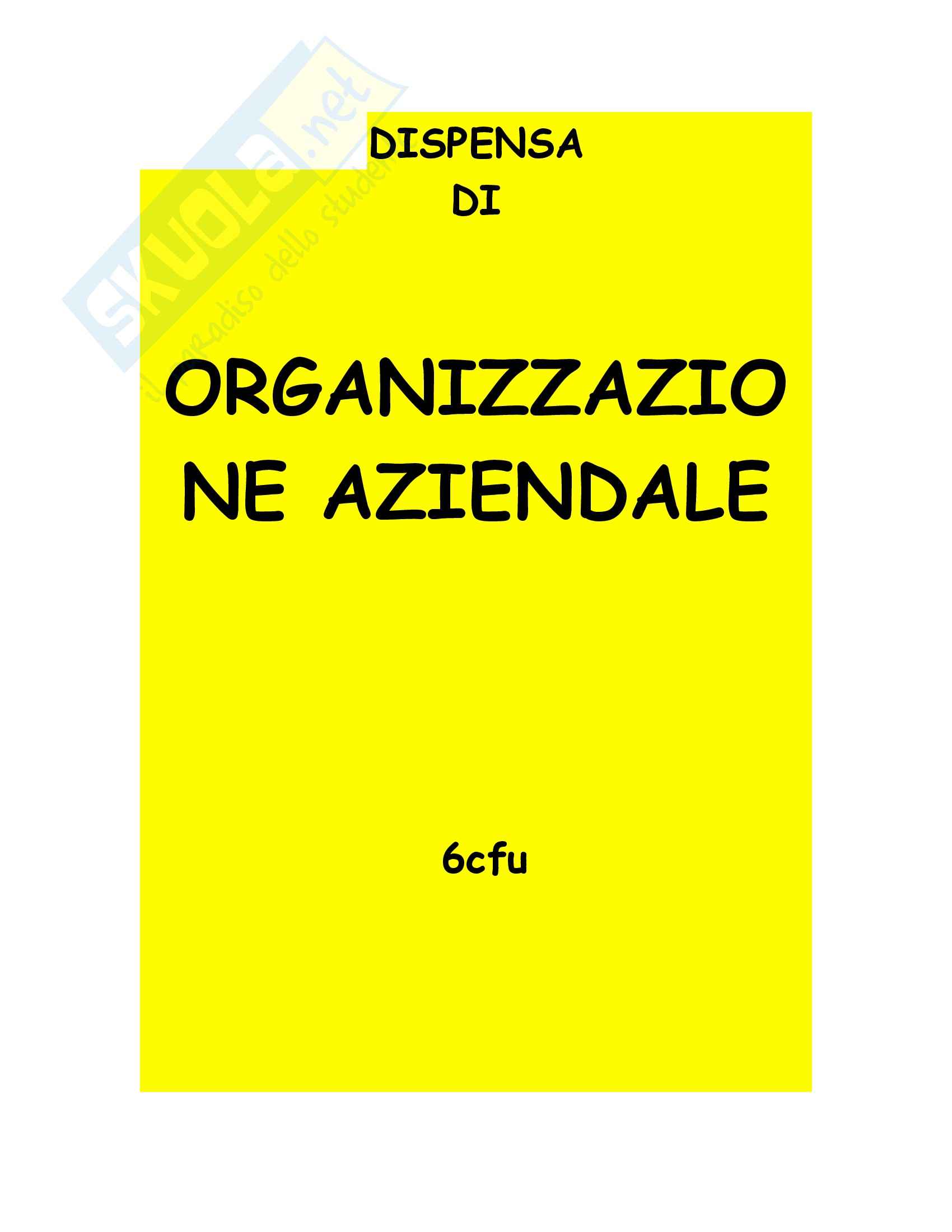 Organizzazione aziendale - Corso completo Pag. 1