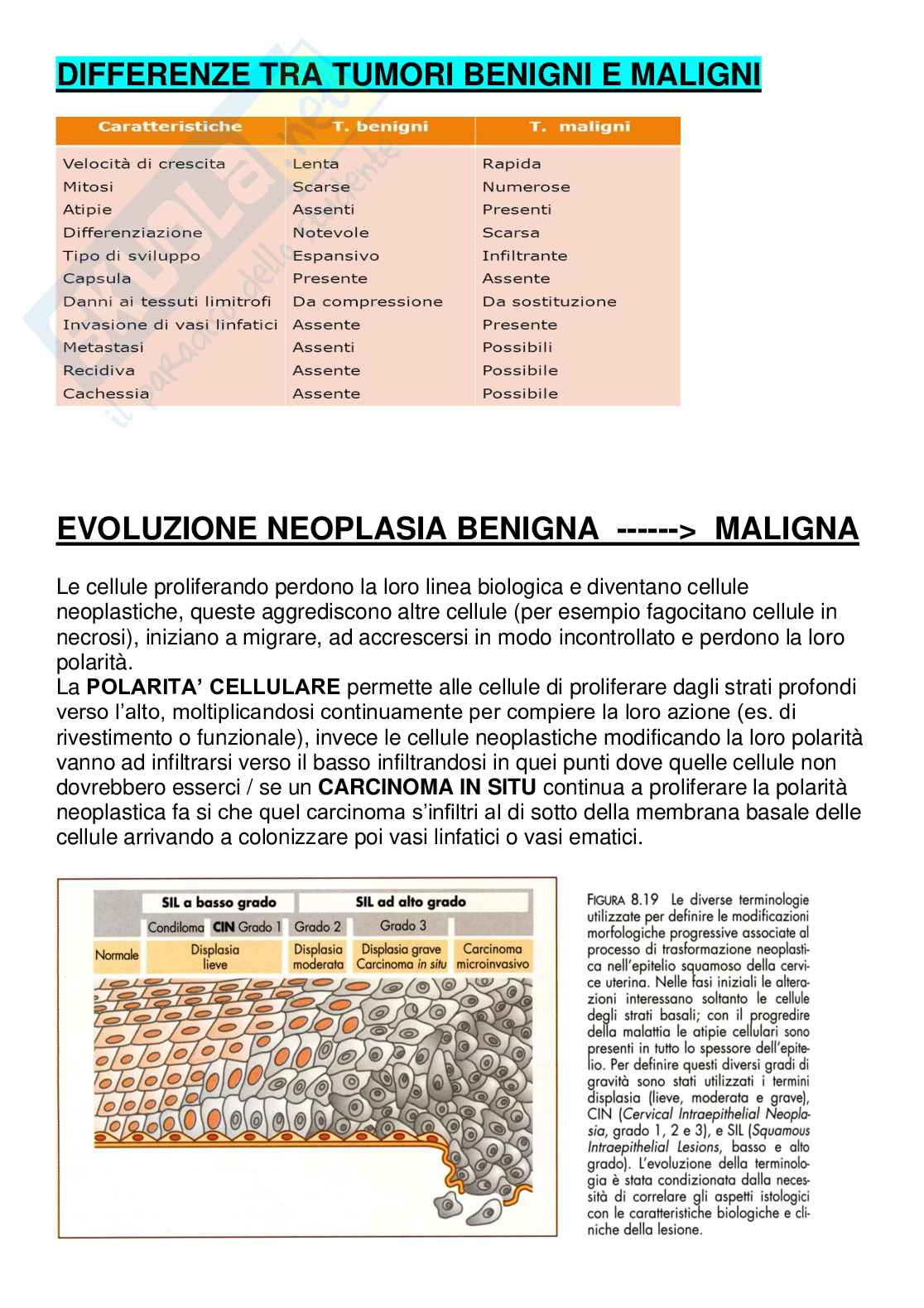 ANATOMIA PATOLOGICA pdf Pag. 26