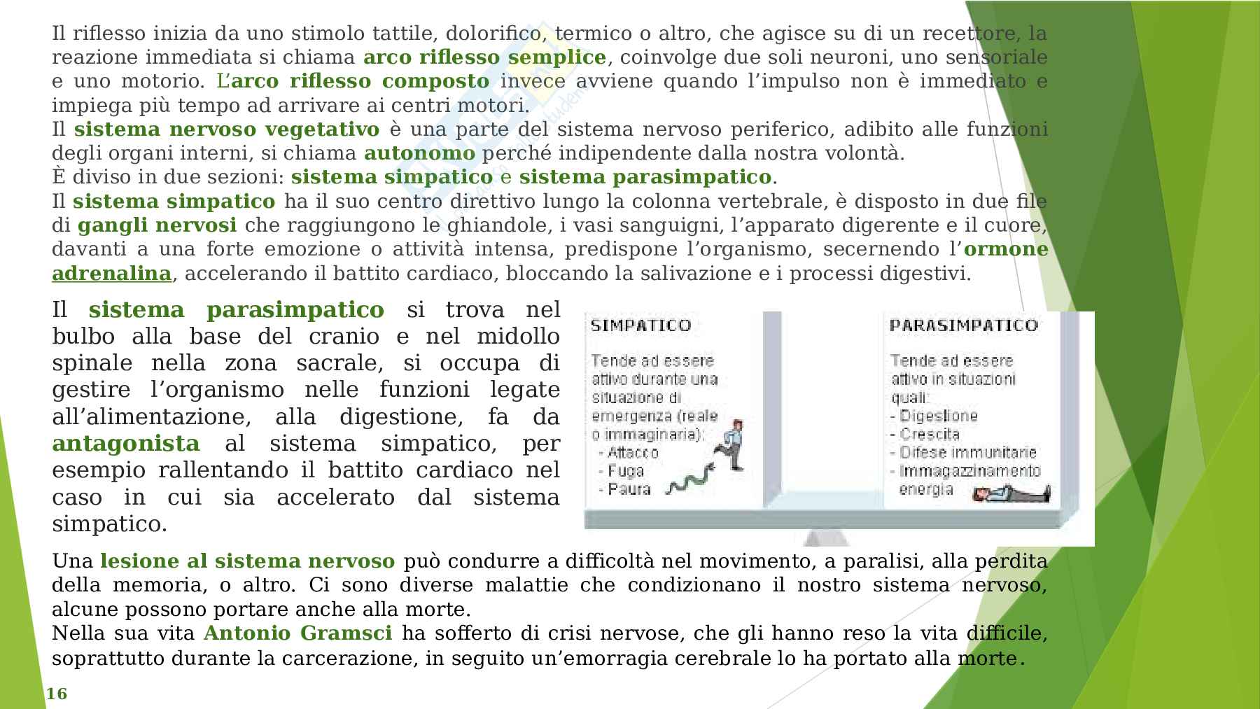 Gramsci e antifascismo - Tesina Pag. 16