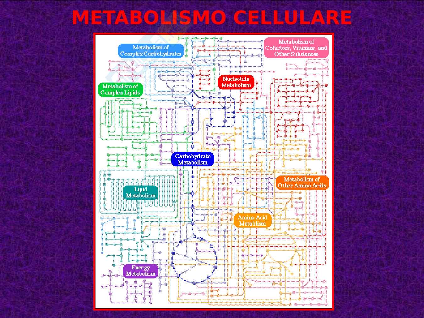 Introduzione al metabolismo Pag. 1