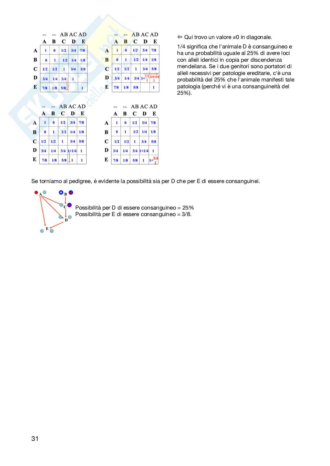 Zootecnica e miglioramento genetico  Pag. 31