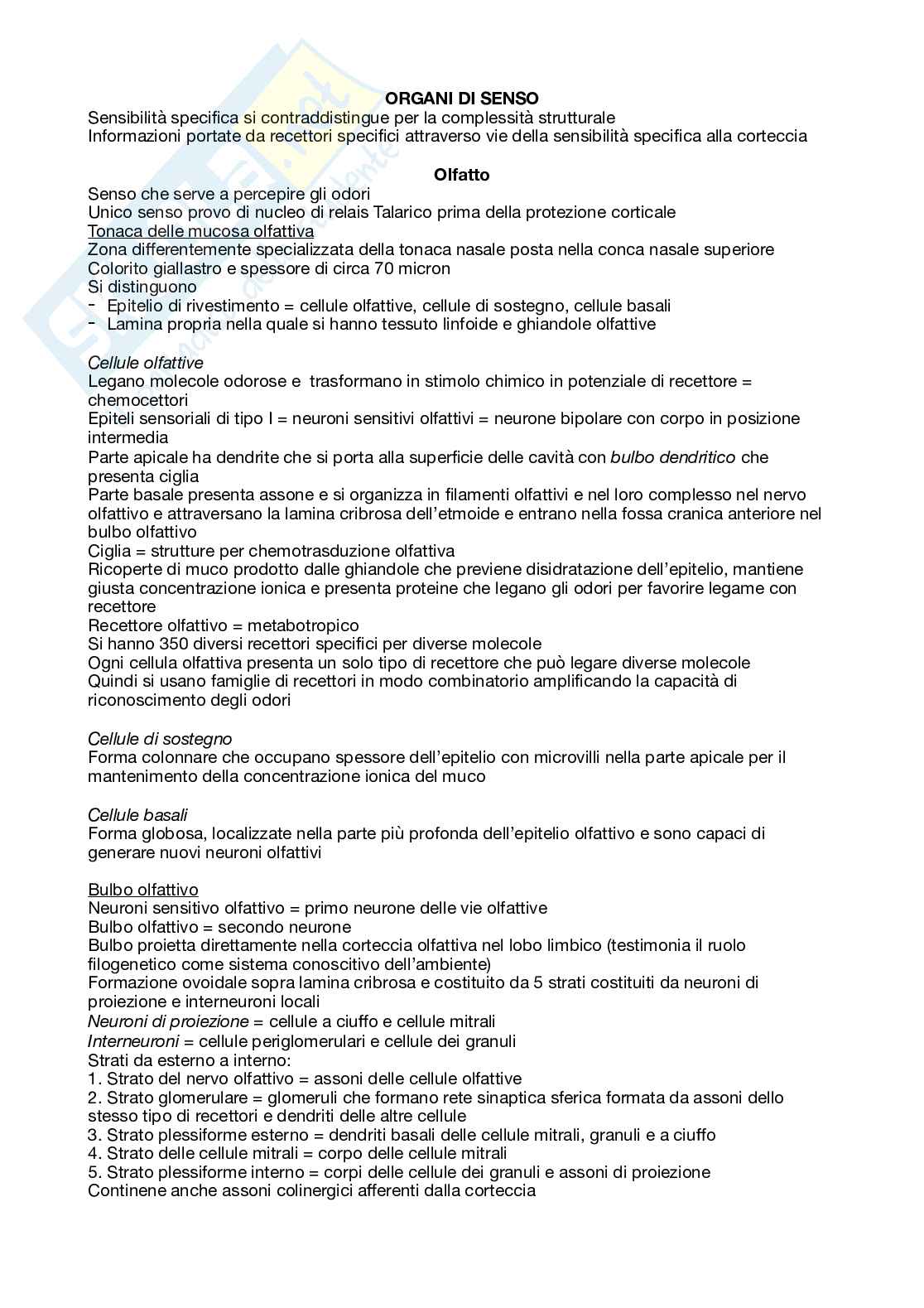 Riassunto esame Anatomia umana, Prof. Giulisano Massimo, libro consigliato Trattato di anatomia umana, Anastasi  Pag. 1