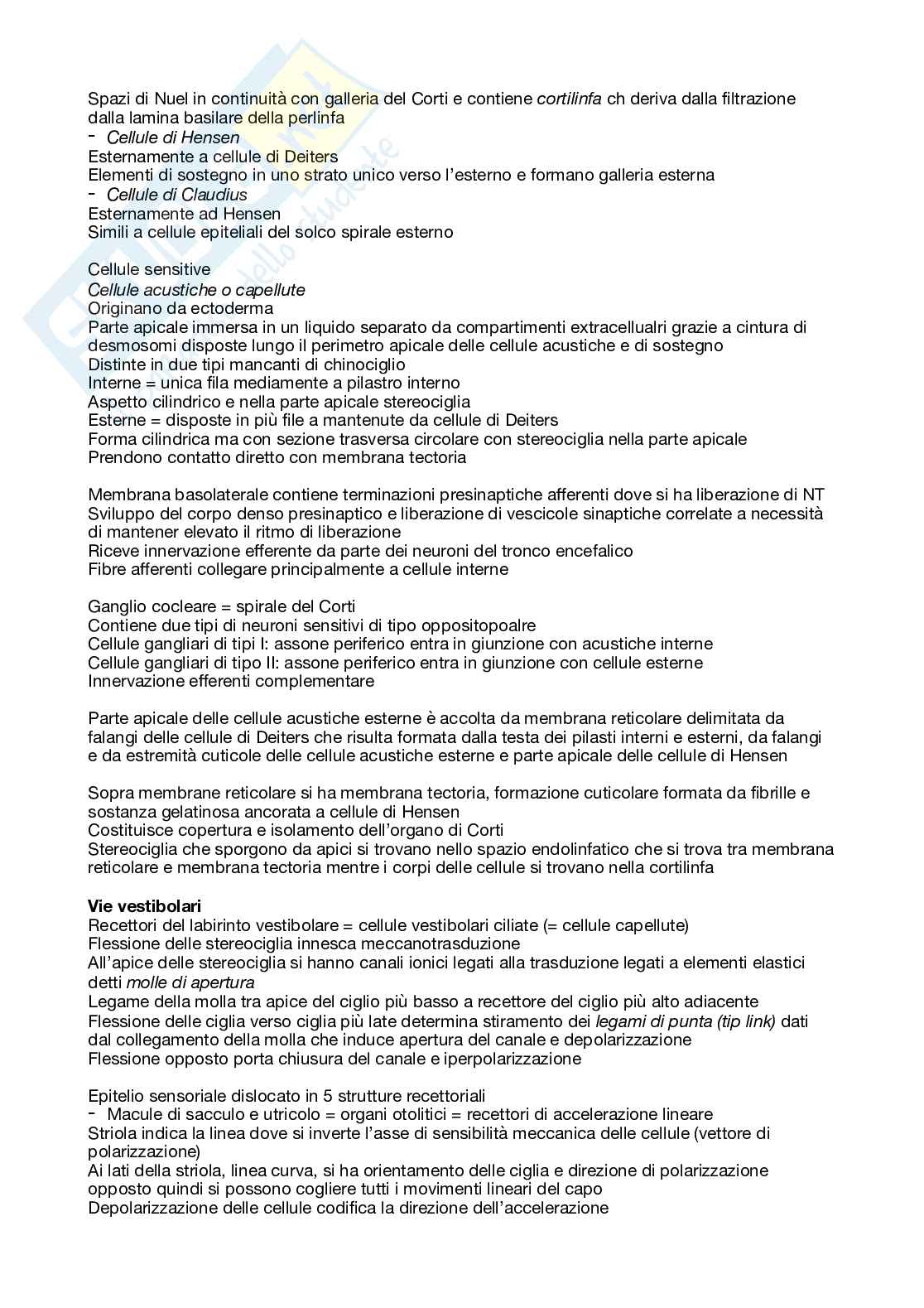Riassunto esame Anatomia umana, Prof. Giulisano Massimo, libro consigliato Trattato di anatomia umana, Anastasi  Pag. 11
