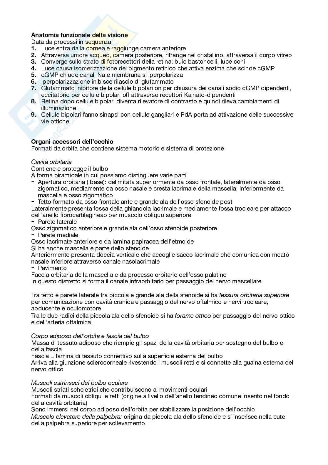 Riassunto esame Anatomia umana, Prof. Giulisano Massimo, libro consigliato Trattato di anatomia umana, Anastasi  Pag. 21