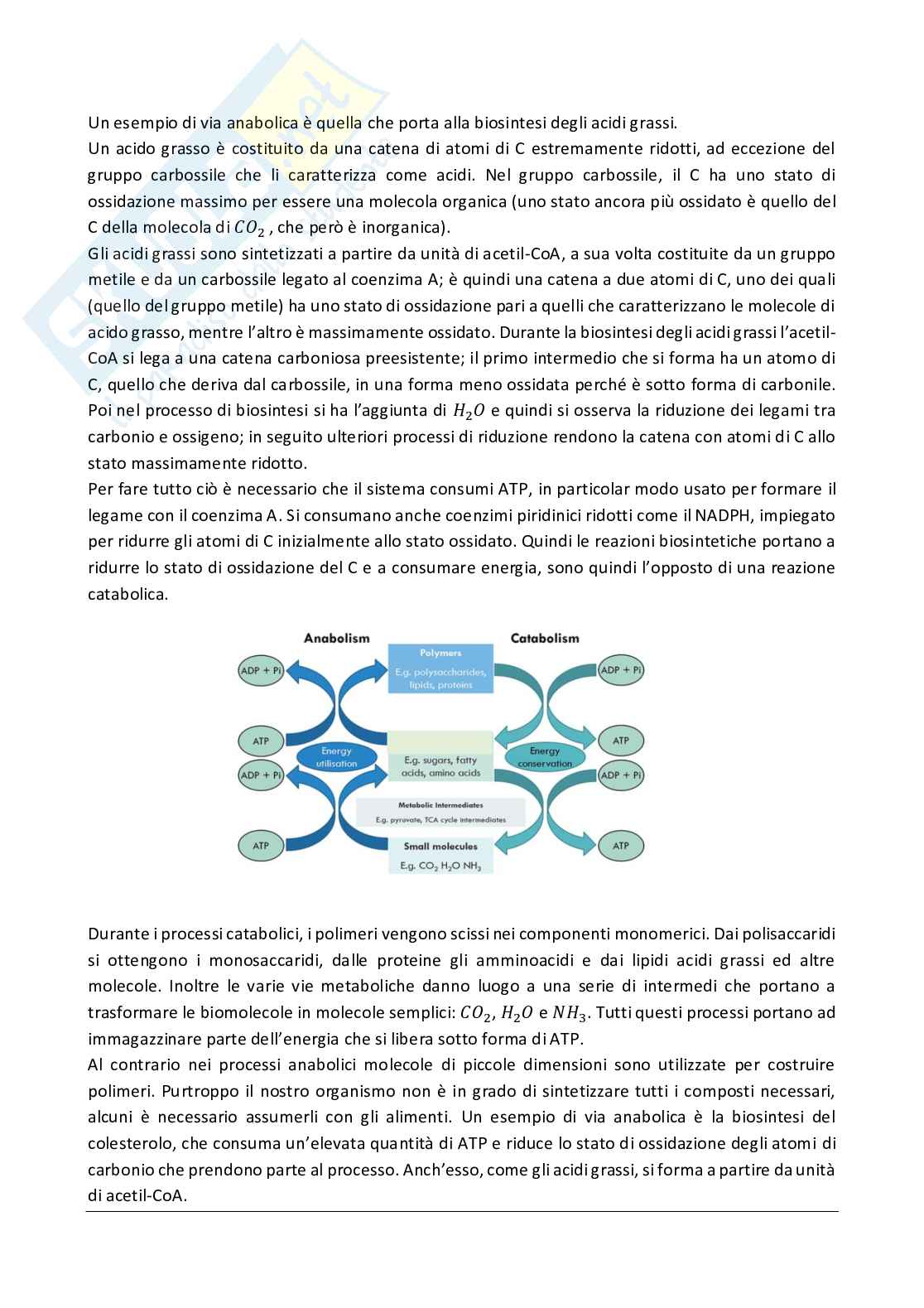 Biochimica avanzata - parte 1 Pag. 1