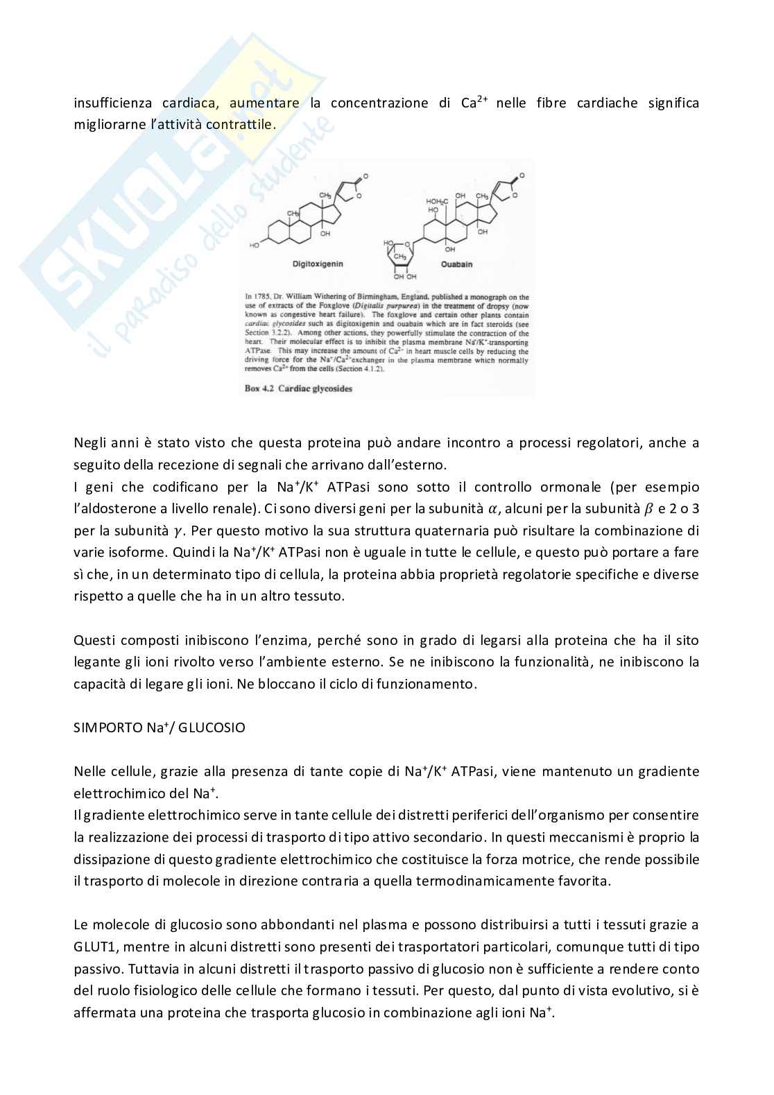 Biochimica avanzata - parte 1 Pag. 76