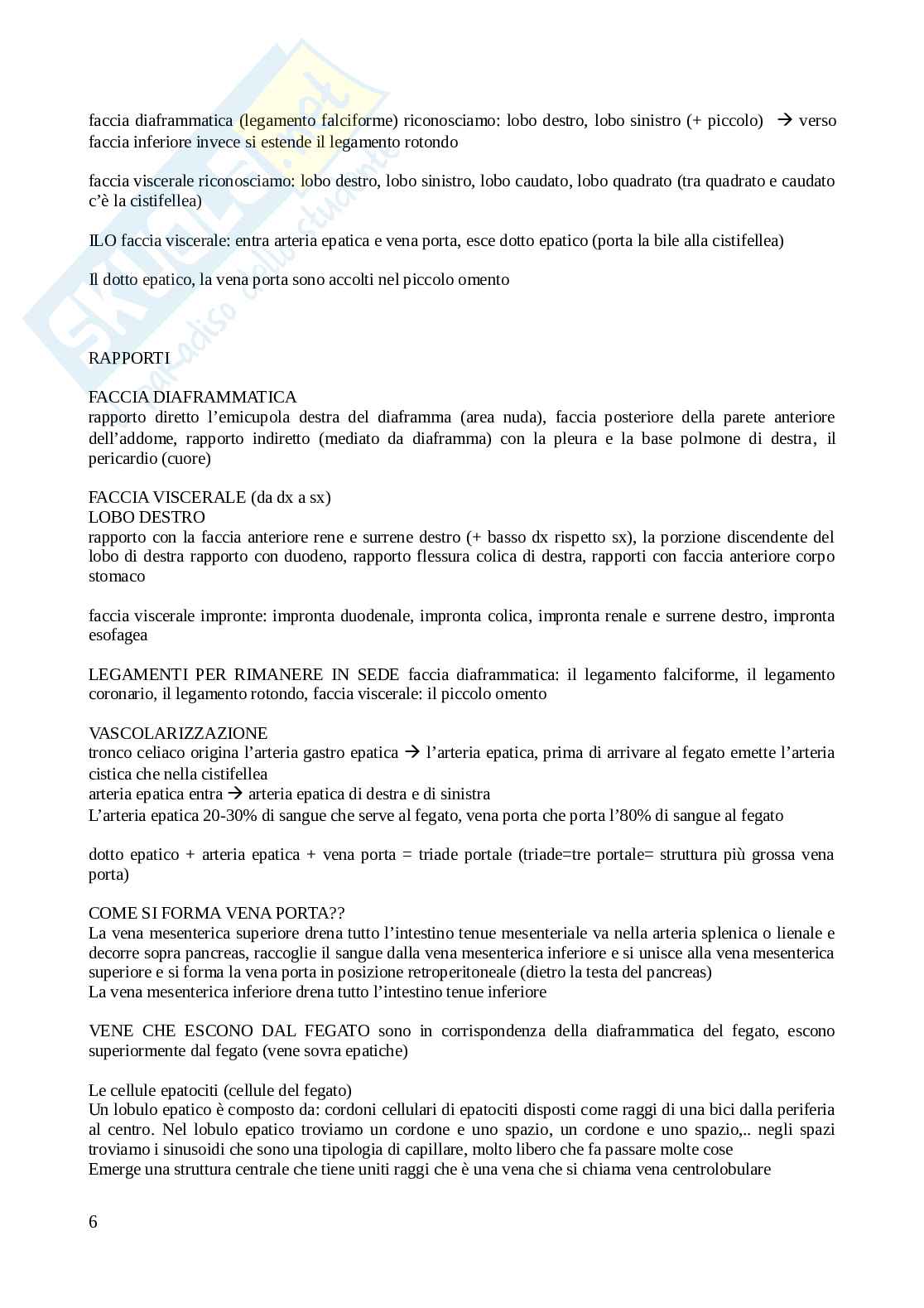 Apparato digerente e ghiandole annesse Pag. 6
