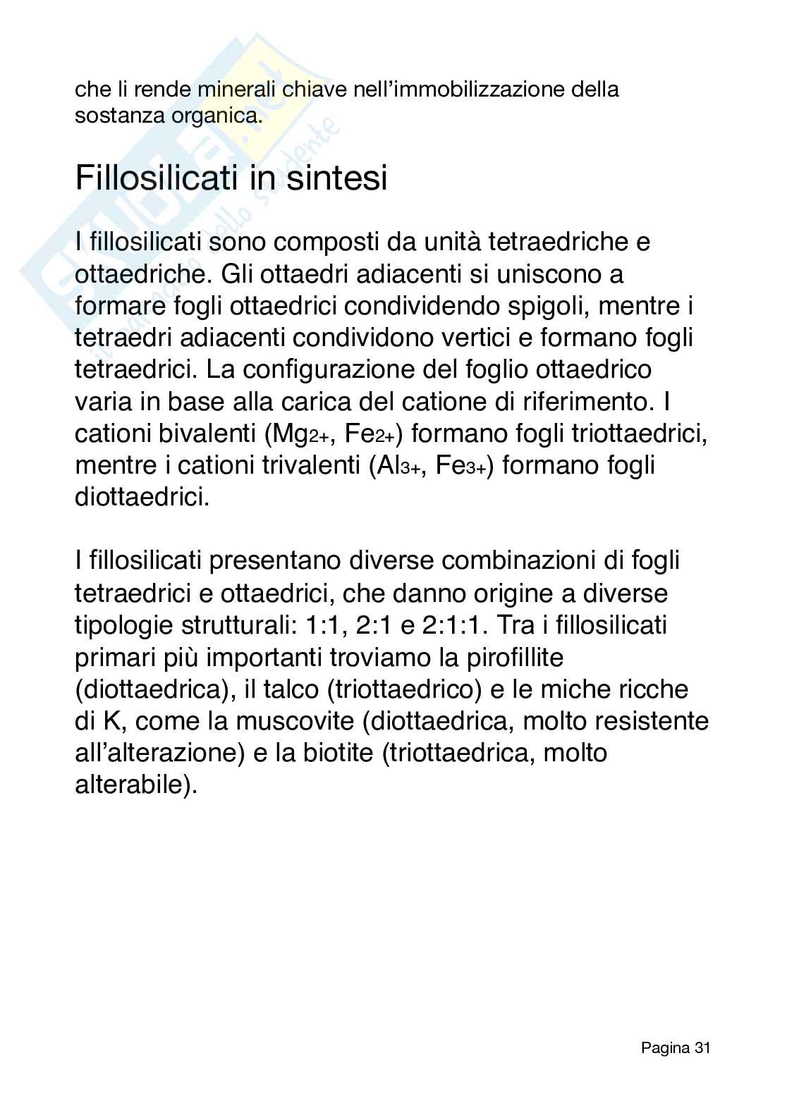 Chimica e fertilità del suolo Pag. 31