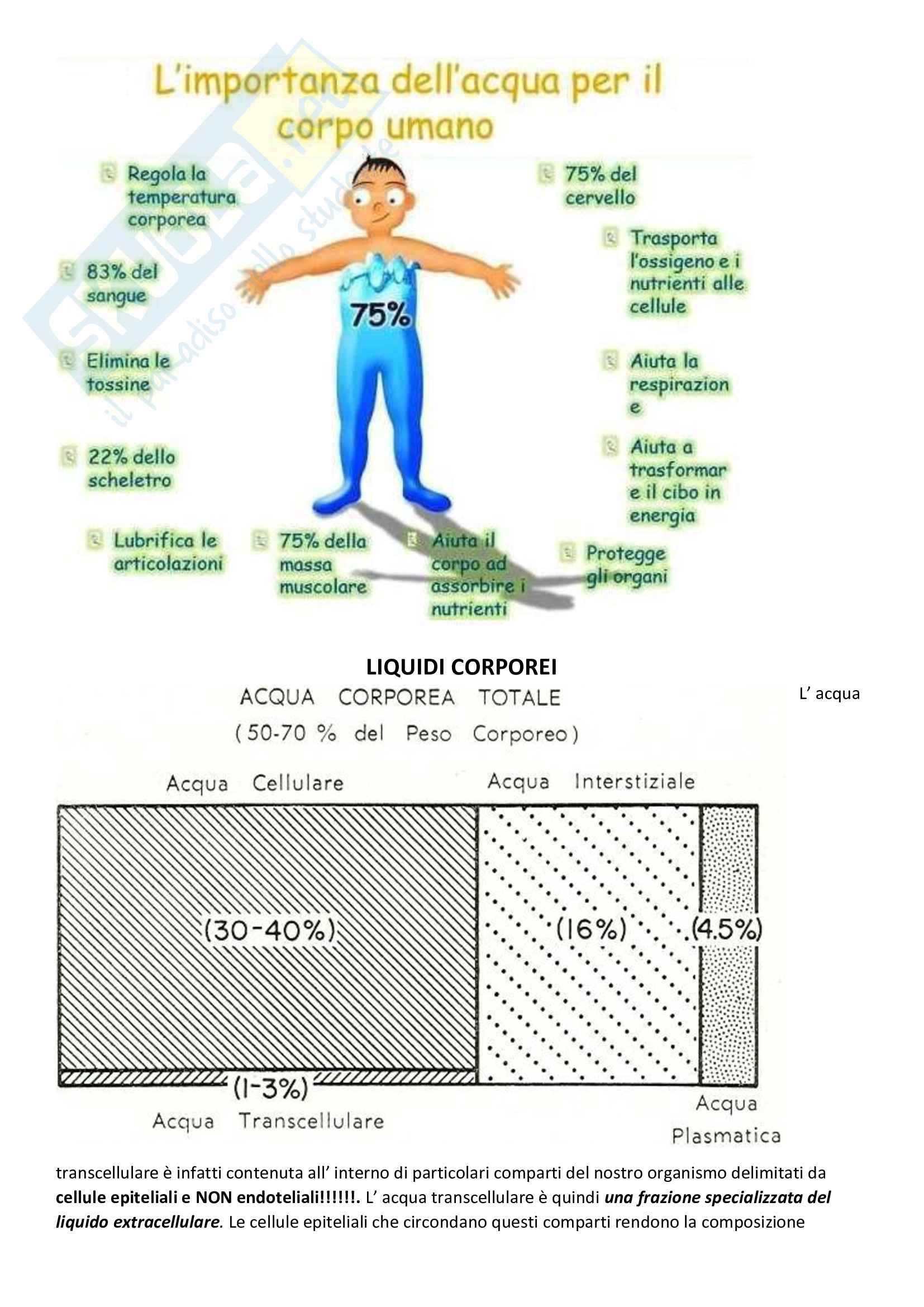 Fisiologia Generale (riassunti completi) Pag. 2