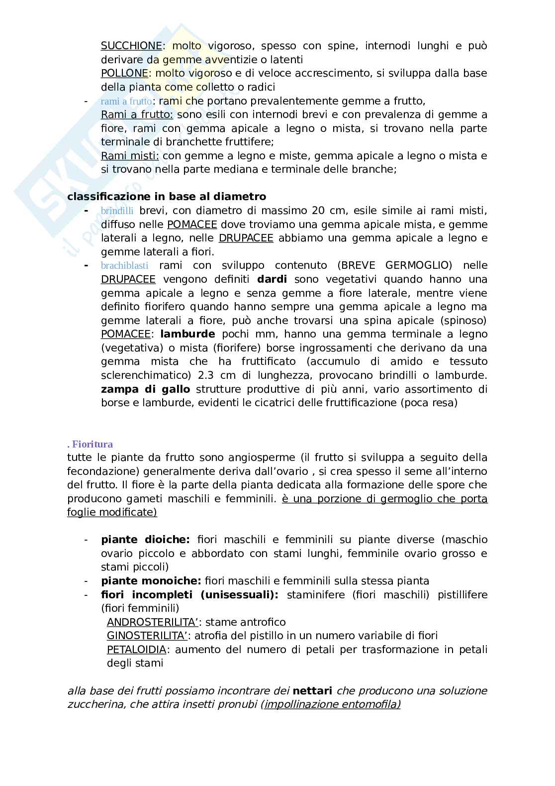 Arboricoltura generale Pag. 11
