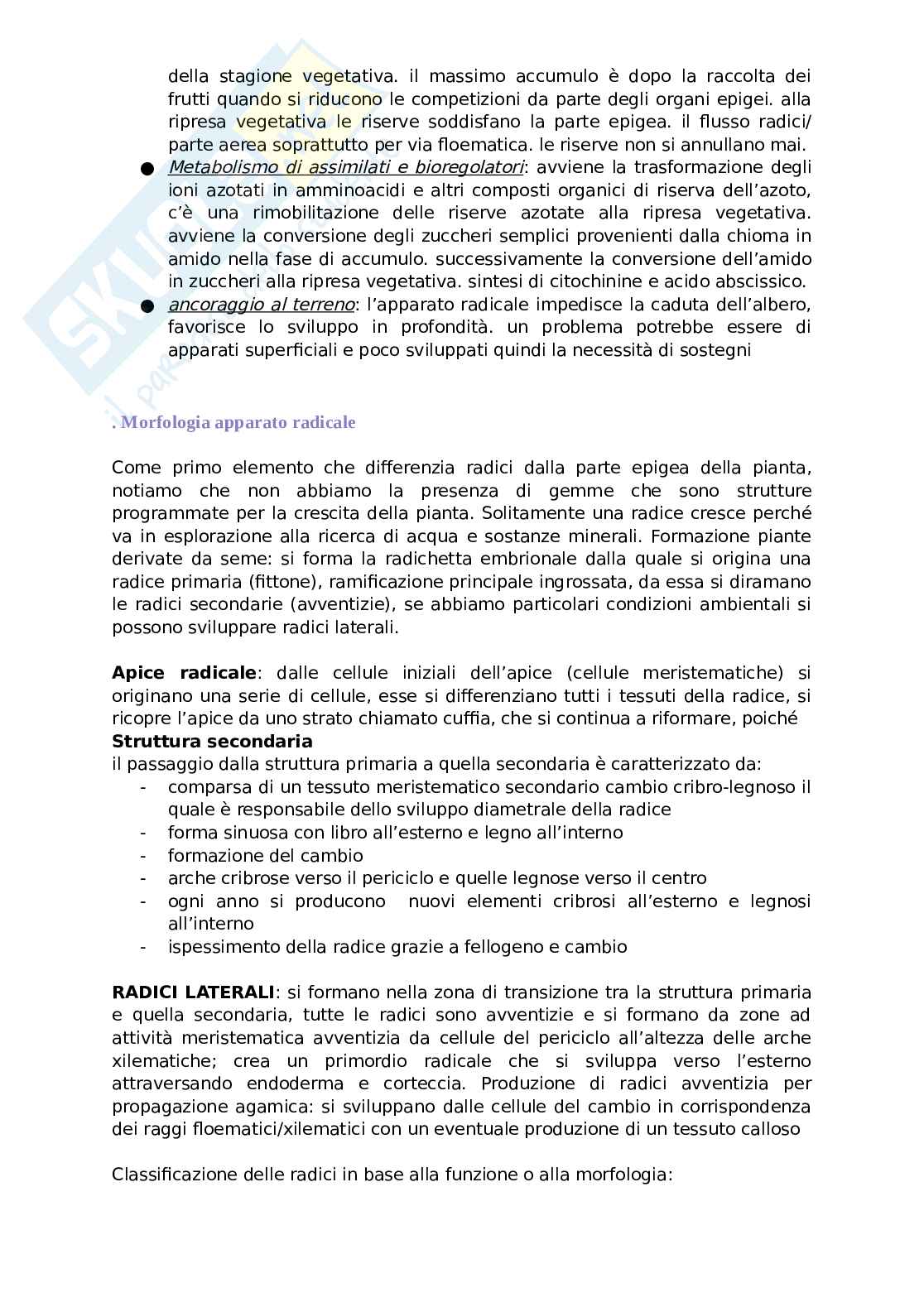 Arboricoltura generale Pag. 2